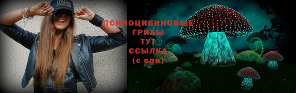 spice Заводоуковск