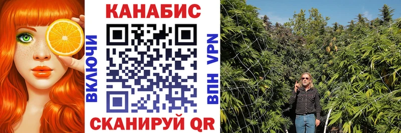 Канабис Bruce Banner  Купить закладки  Гороховец 